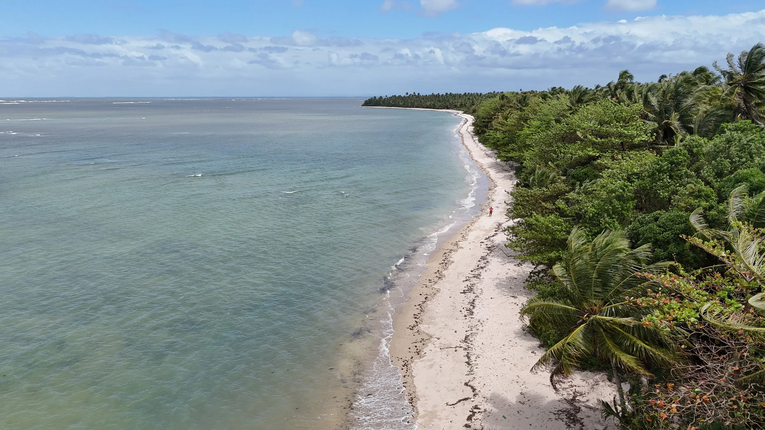 Mar tranquilo, faixa de areia e coqueiros no litoral da Bahia, vistos do nosso drone